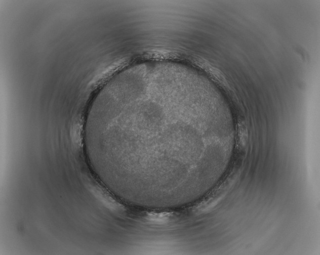 X0000114580450200911091239