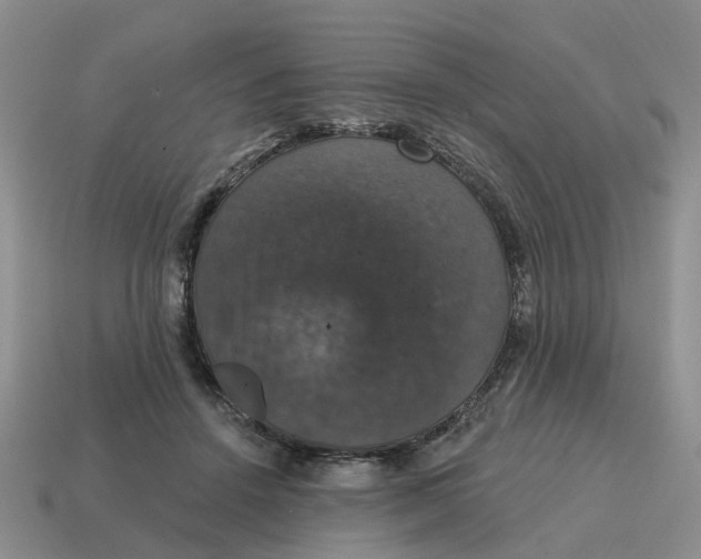 X0000114580456200911091239