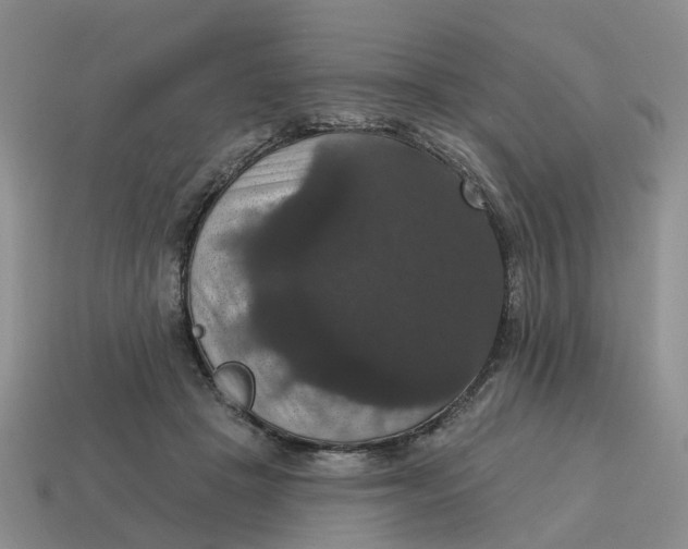 X0000114580457200911091239