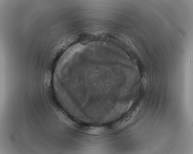 X0000114580458200911091239