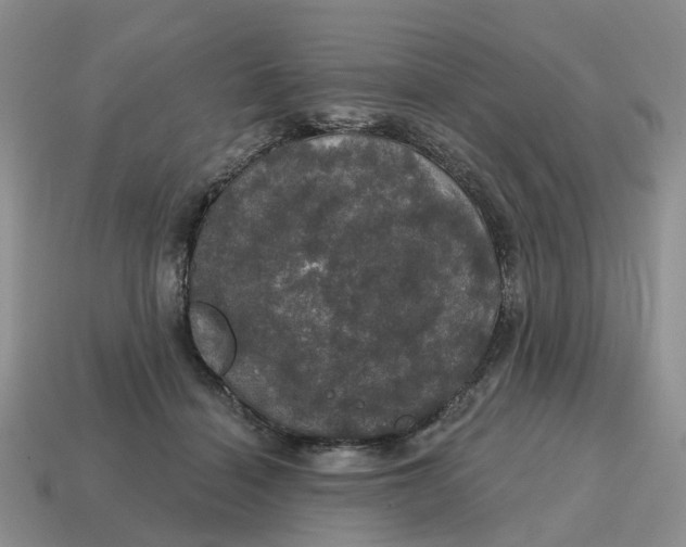 X0000114580460200911091239