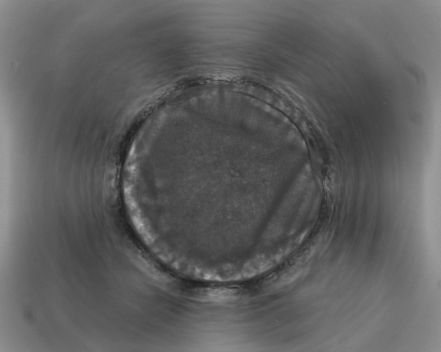 X0000114580462200911091239