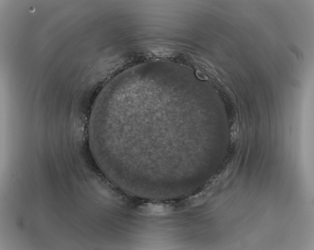 X0000114580464200911091239