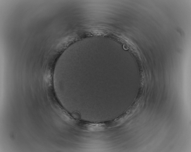 X0000114580465200911091239