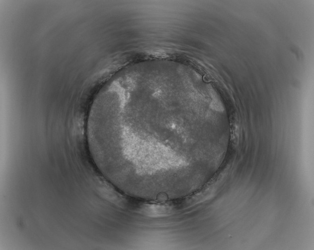 X0000114580466200911091239