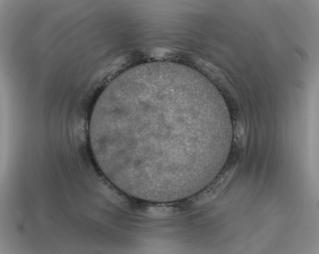 X0000114580470200911091240