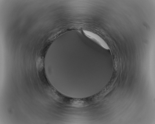 X0000114580471200911091240