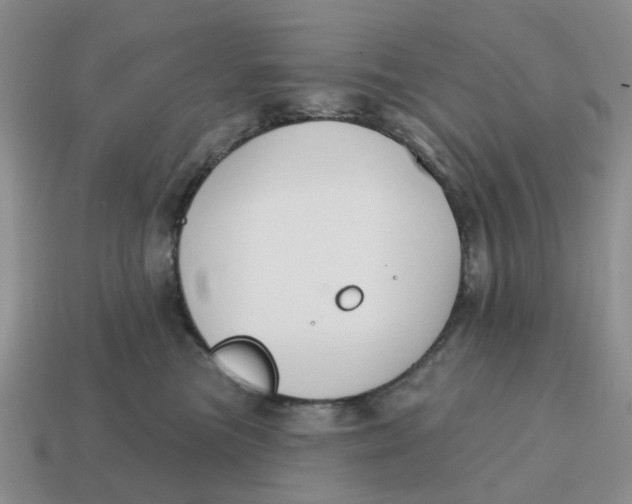 X0000114580473200911091240