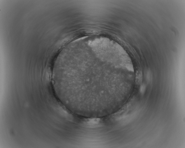 X0000114580474200911091240