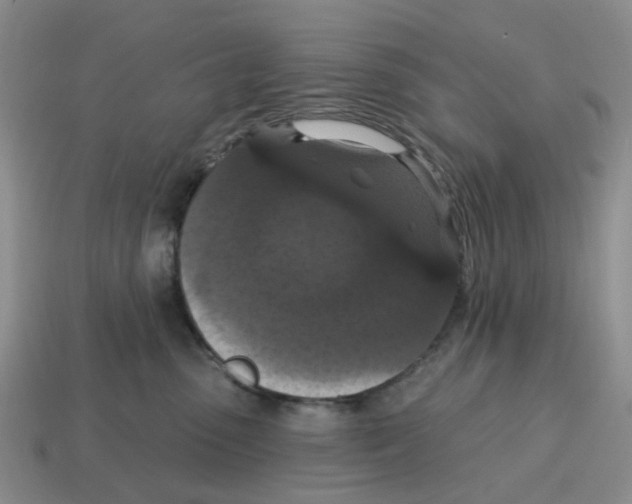 X0000114580475200911091240