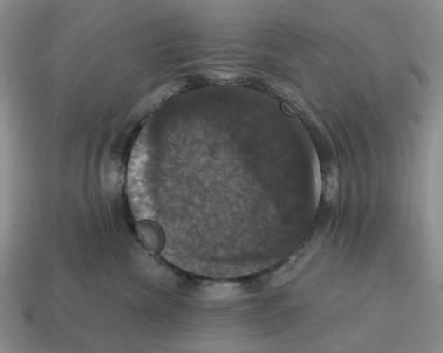 X0000114580476200911091240