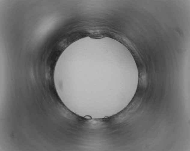 X0000114580477200911091240