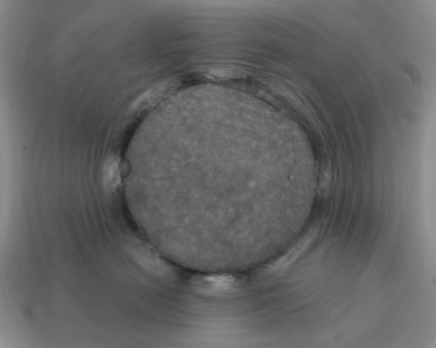 X0000114580478200911091240