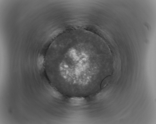 X0000114580480200911091240