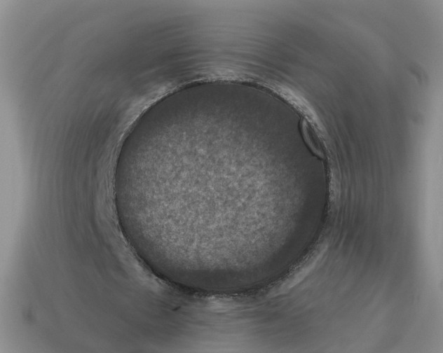 X0000114580481200911091239