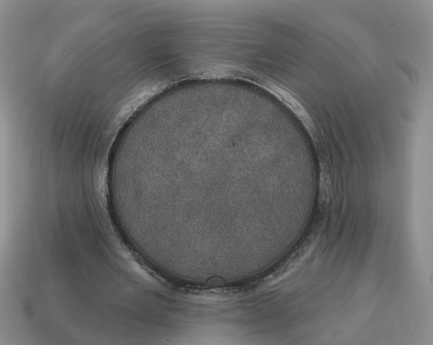 X0000114580485200911091239