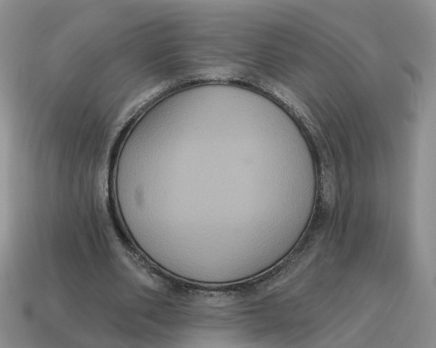 X0000114580486200911091239