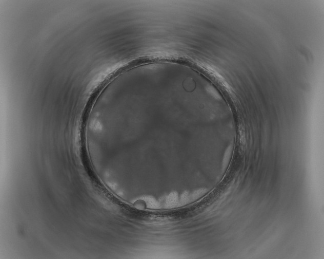 X0000114580487200911091239