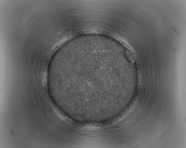 X0000114580489200911091239