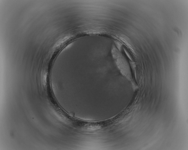 X0000114580491200911091239