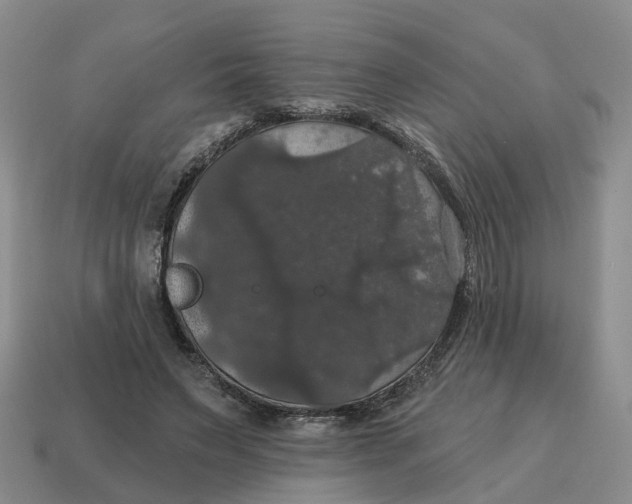 X0000114580495200911091239