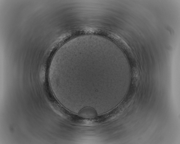 X0000114580496200911091239