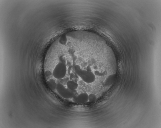 X0000114580499200911091239