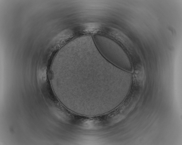 X0000114580504200911091239