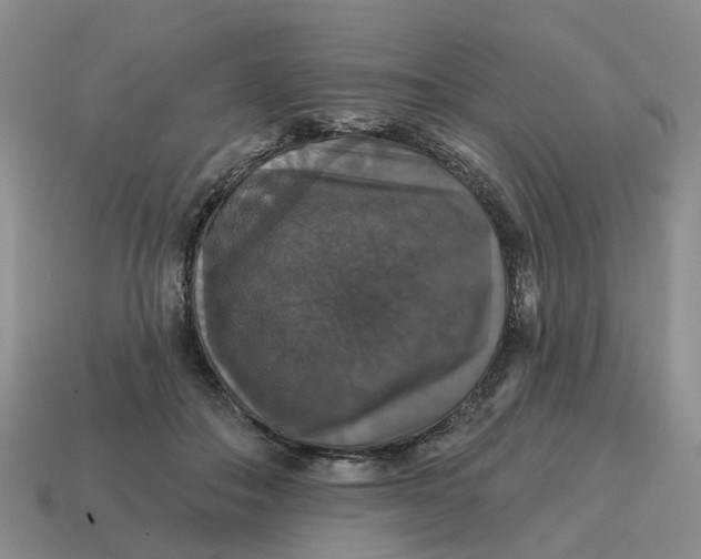 X0000114580506200911091239