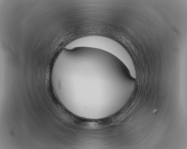 X0000114580509200911091239