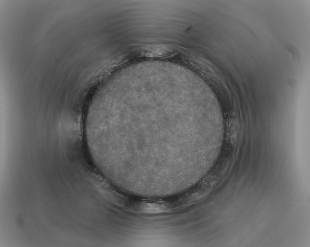 X0000114580510200911091238