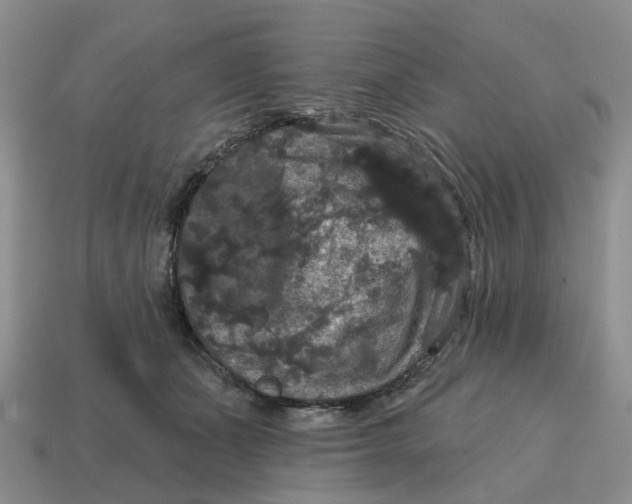 X0000114580511200911091238