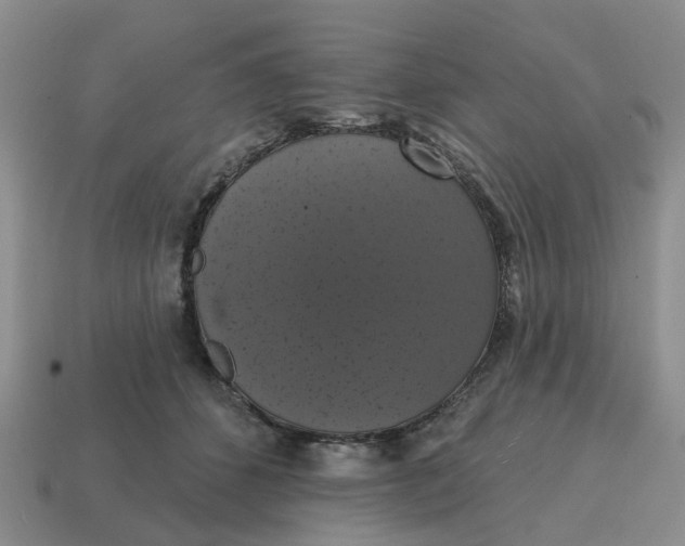 X0000114580512200911091238