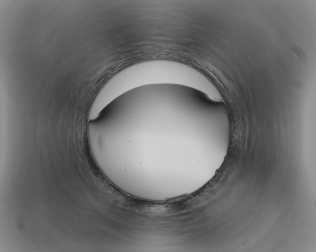 X0000114580513200911091238