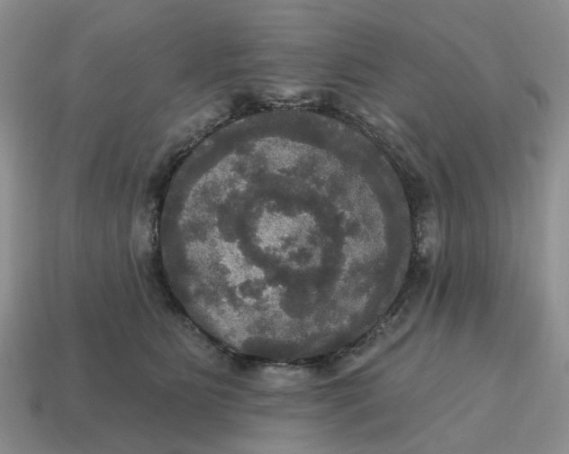 X0000114580515200911091238