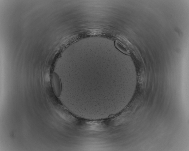 X0000114580516200911091238