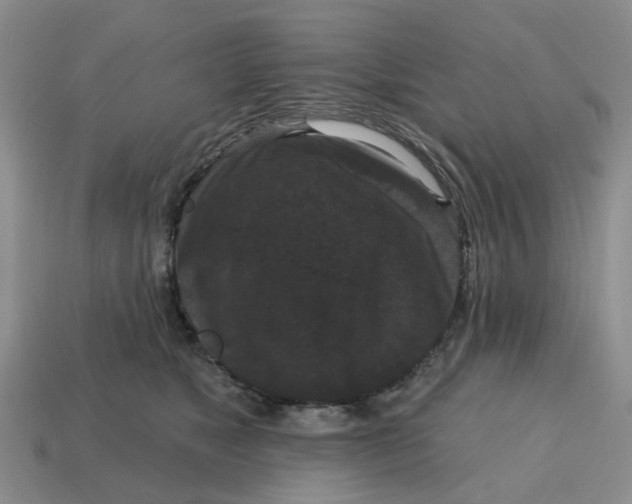 X0000114580517200911091238