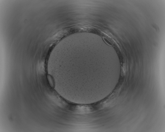 X0000114580520200911091238