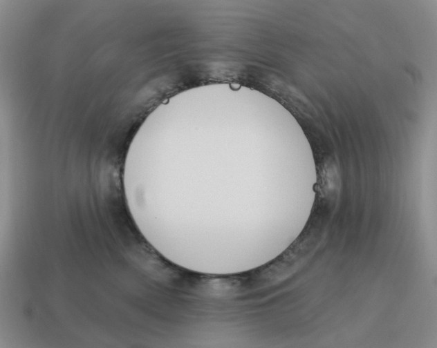 X0000114580522200911091238