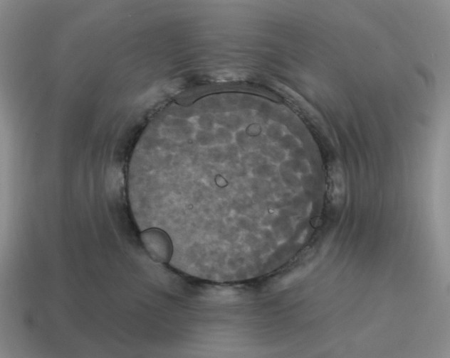 X0000114580523200911091238