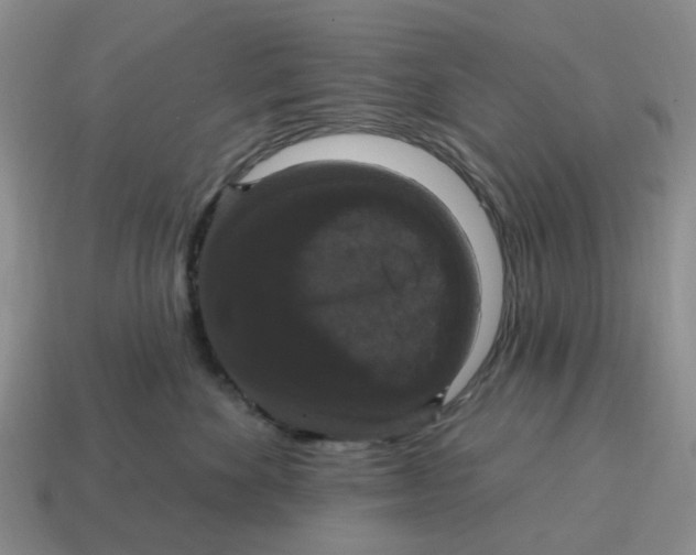 X0000114580524200911091238