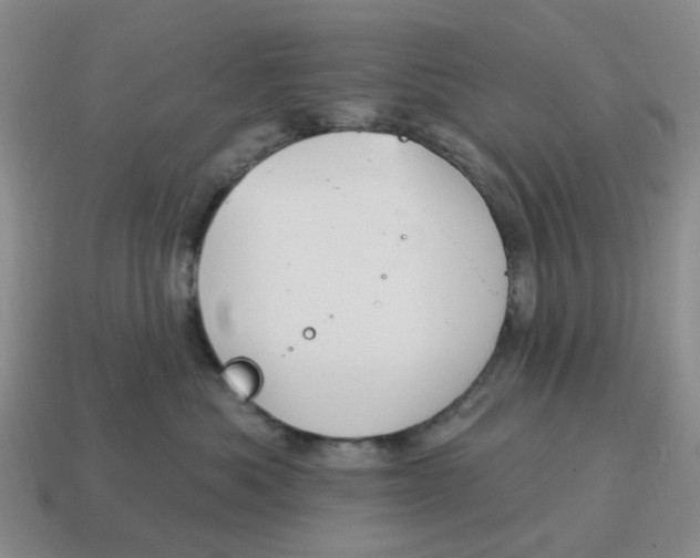 X0000114580525200911091238