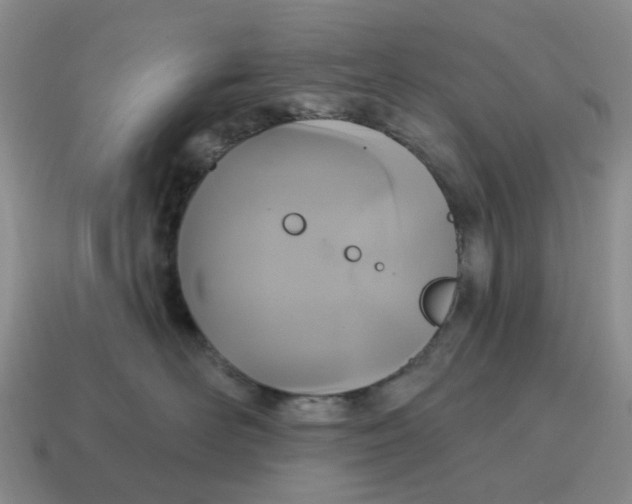 X0000114580526200911091238