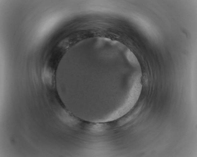 X0000114580527200911091238