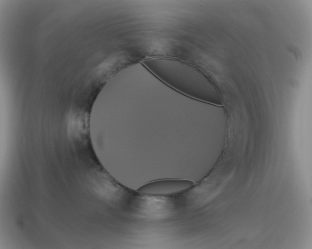 X0000114580528200911091238