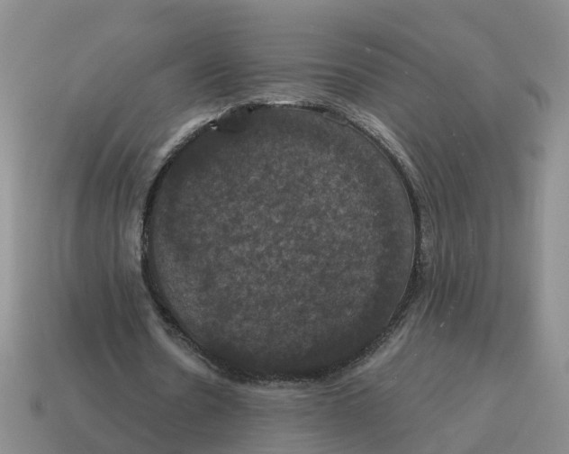 X0000114580530200911091238