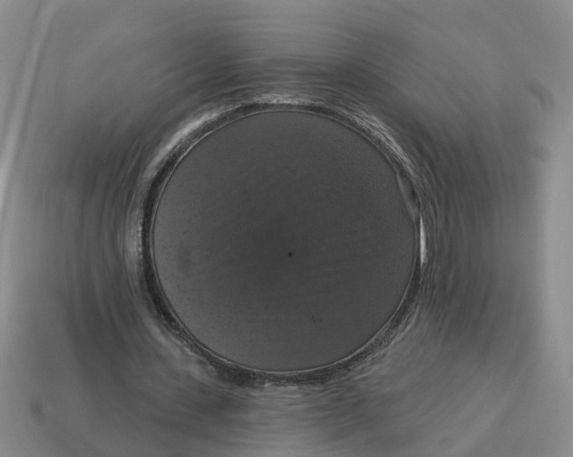 X0000114580531200911091238