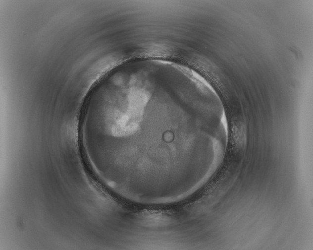 X0000114580534200911091238