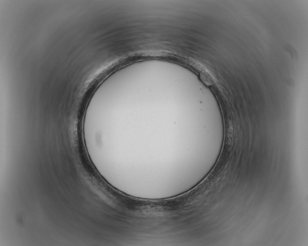 X0000114580535200911091238