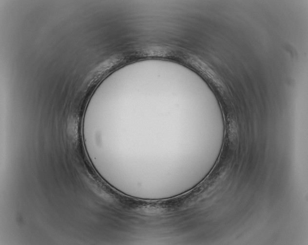 X0000114580537200911091238